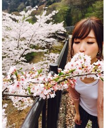 桜 | その他