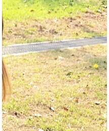 GU | Tシャツ/カットソー