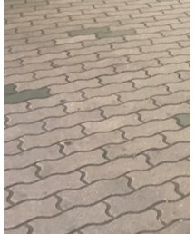 🙇thank you🙇 | Tシャツ/カットソー