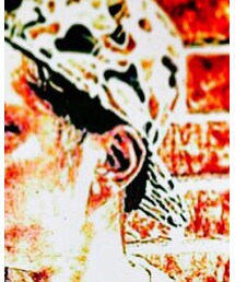 BASECONTROL | キャップ