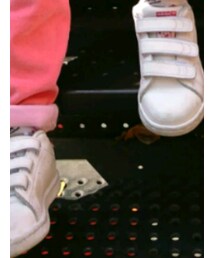 adidas | シューズ