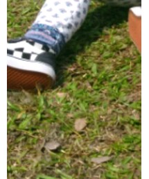 VANS | シューズ