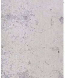 UNION STATION | ベルト