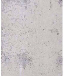 UNION STATION | サンダル