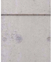 一眼レフ | トップス