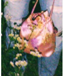 手作り巾着 | バッグ