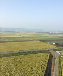 熊本出張なう！！(ラッピングキット)