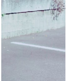 SEVENDAYS=SUNDAY | Tシャツ/カットソー