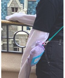 STUSSY | Tシャツ/カットソー