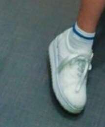 LACOSTE | ソックス/靴下