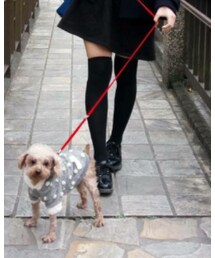 no brand | タイツ/ストッキング