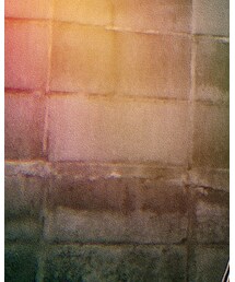 WEGO | Tシャツ/カットソー