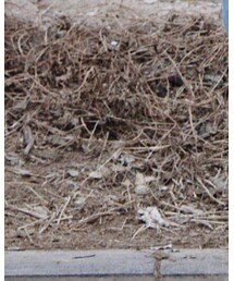 zowzow | ニット/セーター