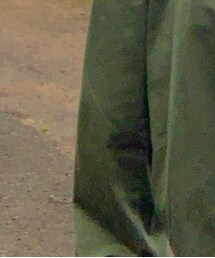 ニコアンド　ディッキーズコラボ | その他パンツ