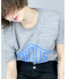 VAIOUS | Tシャツ/カットソー