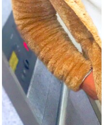 Champion | ジャケット/アウター