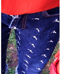 Evisu Jeans | デニムパンツ