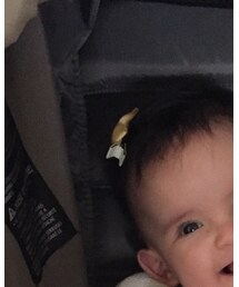 no brand | バレッタ/ヘアクリップ