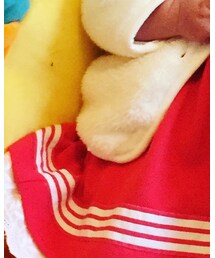 Carter's | ダウンジャケット/コート