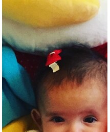 no brand | バレッタ/ヘアクリップ