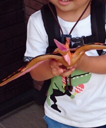 とりさうるす | その他