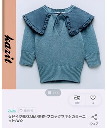 ZARA | ブロックマキシカラーニット(ニット/セーター)