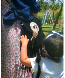 pichishop | ショルダーバッグ