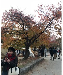 TOFF&LOADSTONE | バッグ