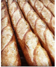✨本日のパン🍞 | 食器/キッチン