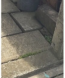 MHL. | トートバッグ