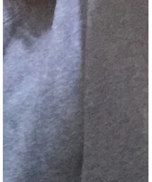 PAGEBOY | Tシャツ/カットソー