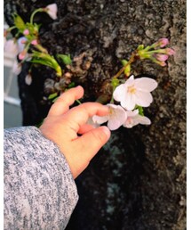 まだ手がむっちむち | その他