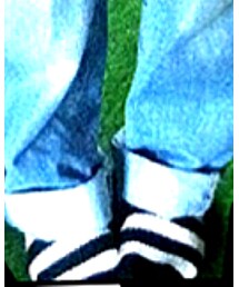 靴下屋 | ソックス/靴下