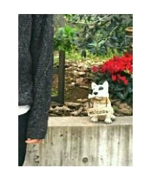 古着屋さん | ニット/セーター