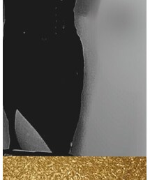 开衩裙 | スカート