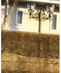 GU | スウェット