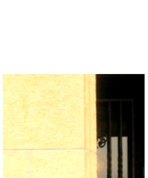 ZARA | デニムパンツ