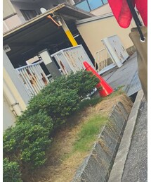 CONVERSE | バッグ