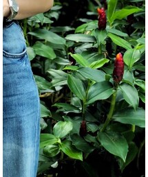 CHARLES & KEITH | ハンドバッグ