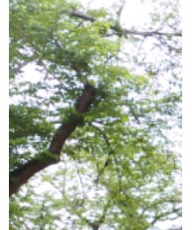 marka | Tシャツ/カットソー