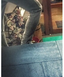 adidas Originals | スニーカー