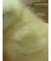 chicka chicka | ワンピース/ドレス