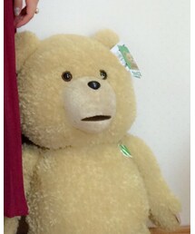TED | (その他雑貨)