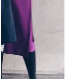 LE CIEL BLEU | スカート