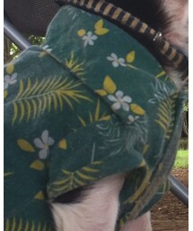 DAISO | トップス