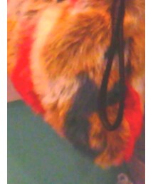 ZARA | ショルダーバッグ