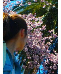 American Eagle | デニムジャケット