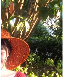 ATMOSPHERE | ハット