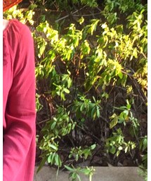 GUCCI | ショルダーバッグ