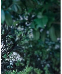 FOREVER 21 | タンクトップ